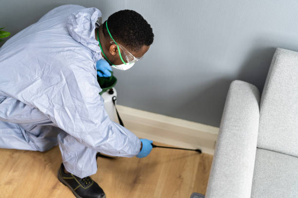 Best Pest Prevention Services  in Wooster, AR